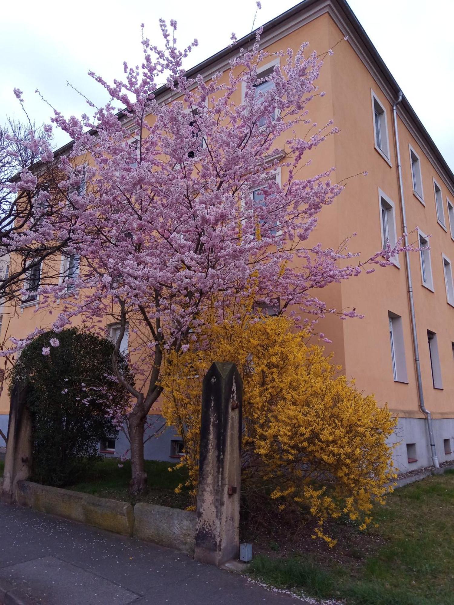 Ferienwohnungen Familie Winter Dohna Dış mekan fotoğraf